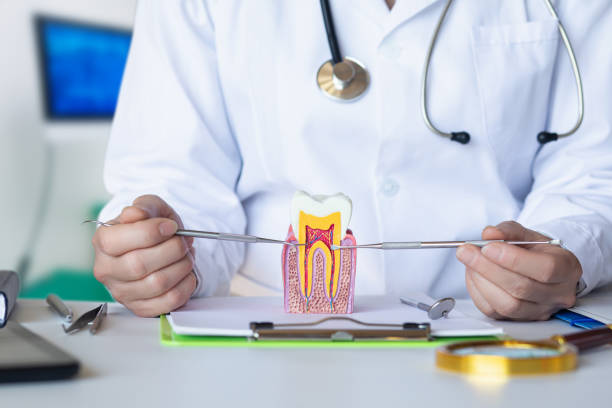 Best Cosmetic Emergency Dentistry in Richfield, MN